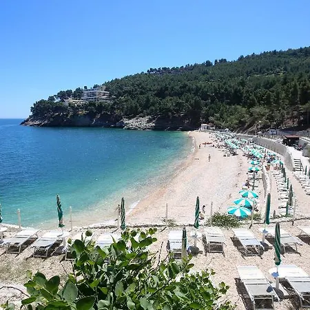 Отель Degli Ulivi Вьесте