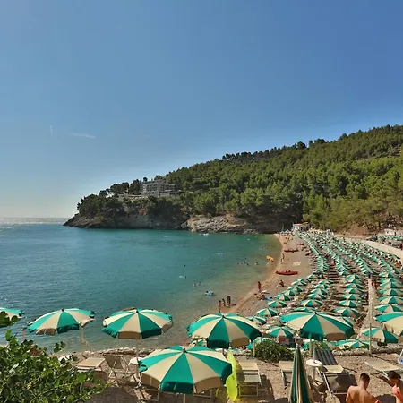 Degli Ulivi 3* Вьесте
